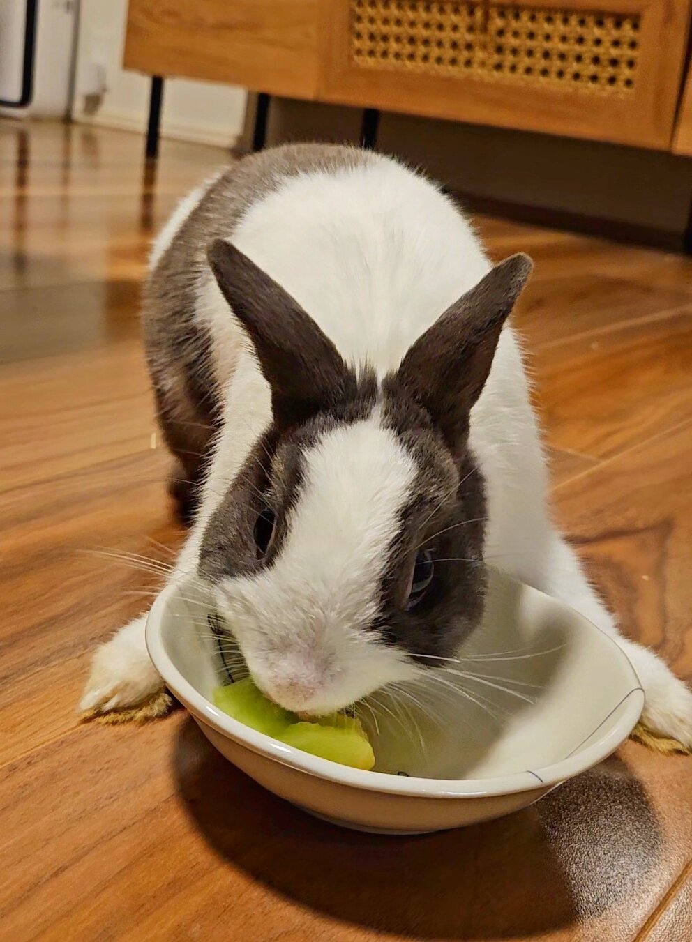 小さな美食家