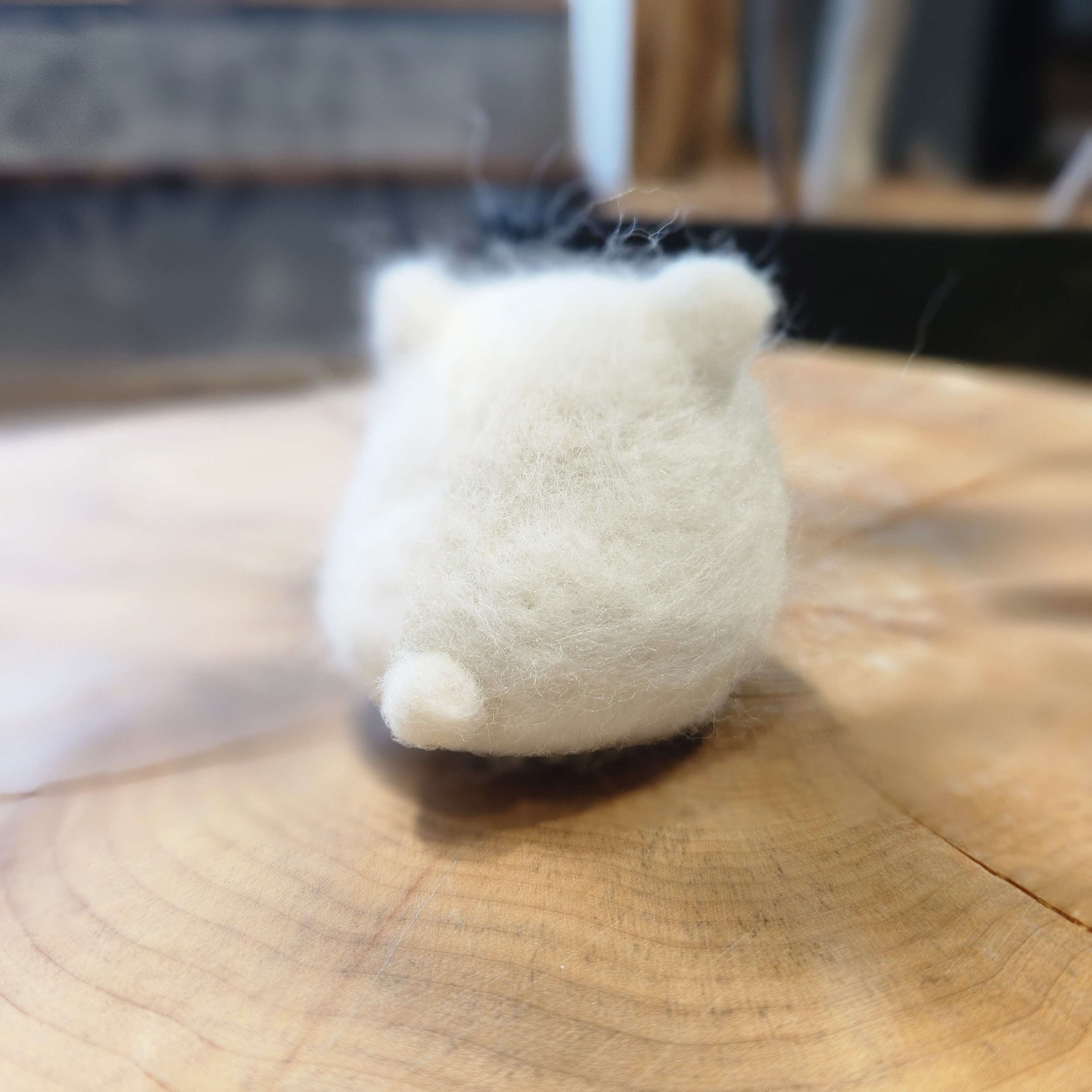 写真3 ジェネリック毛まんじゅうさん.jpg