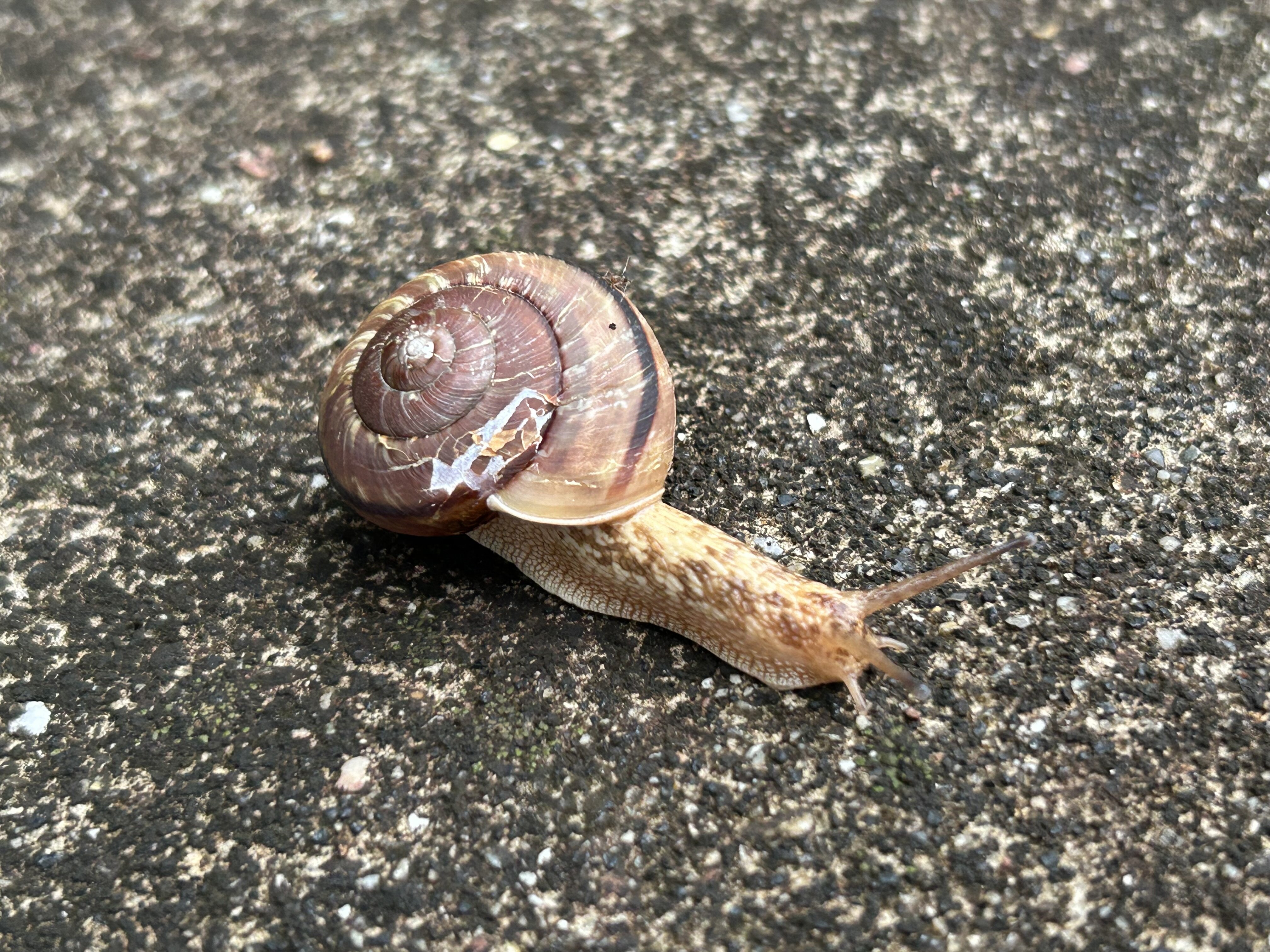 雨の日のルーティン