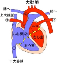 20120601_heart.JPG