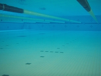 20120718_water.JPG