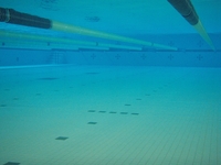 20120718_water.JPG