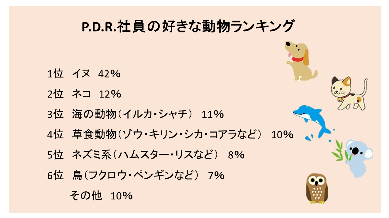 好きな動物ランキング｜P.D.R.